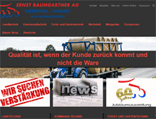 Tablet Screenshot of baumi.com